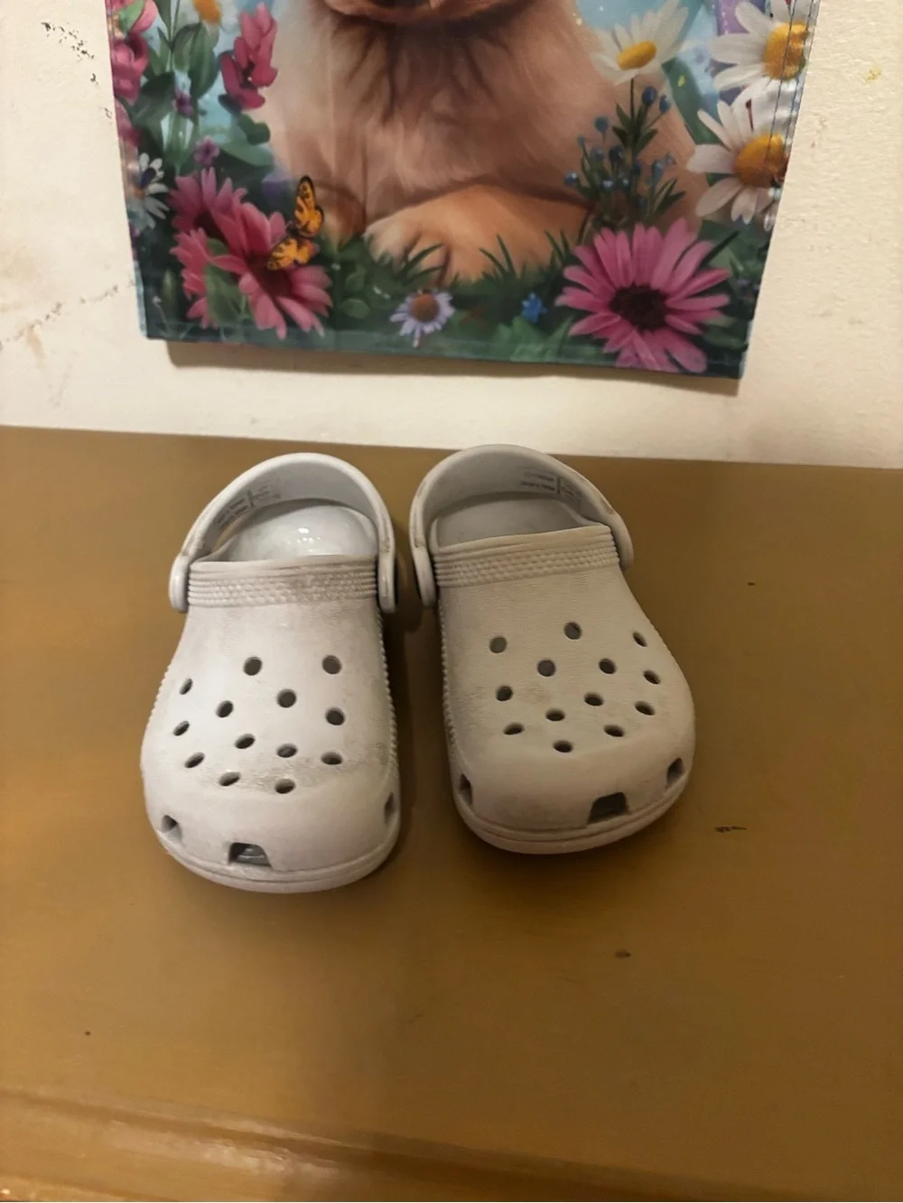 CROCS Kids Classic Clog in Light Gray C8
